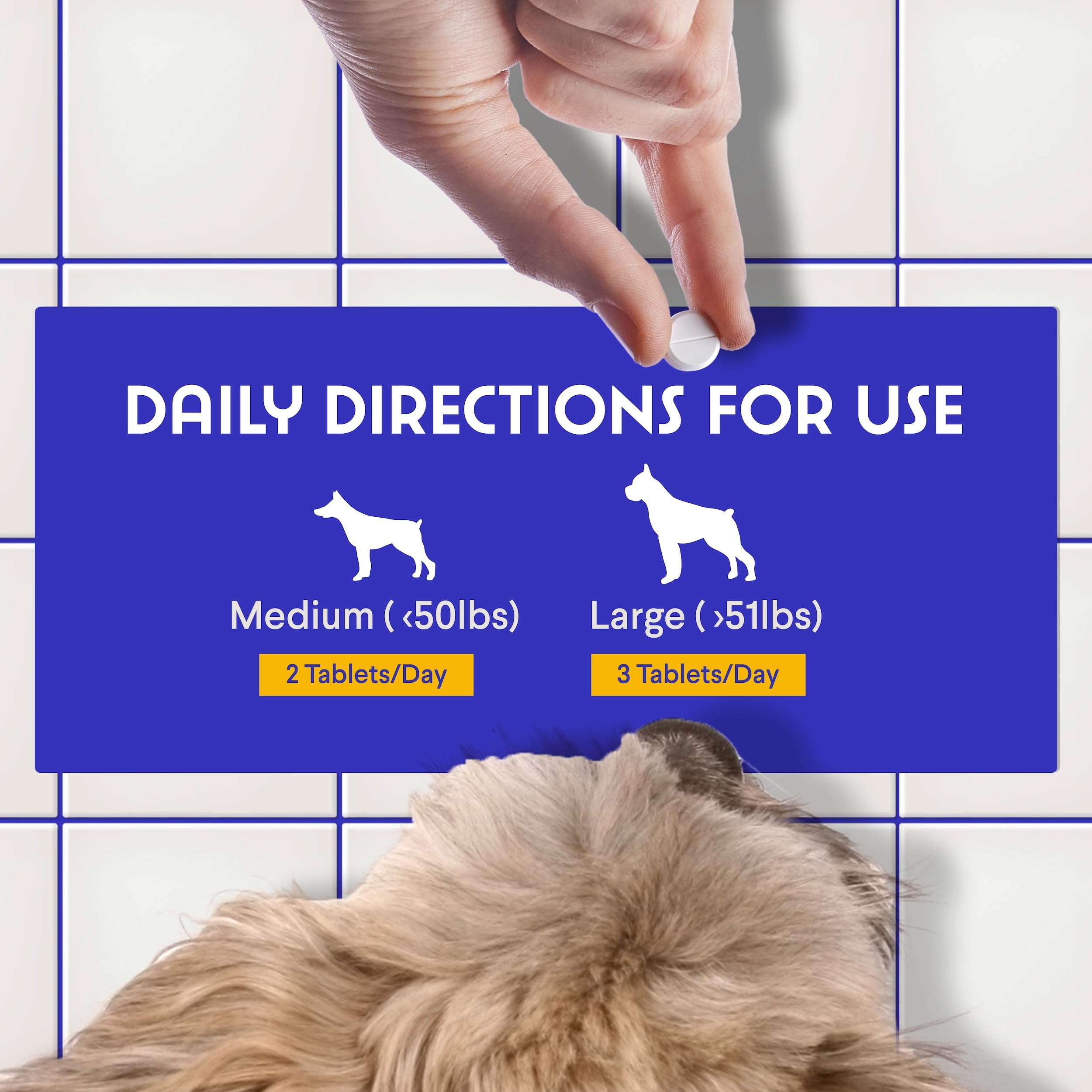 Wonder Paws B12 bottle pour illustrates simple dosing for consistency