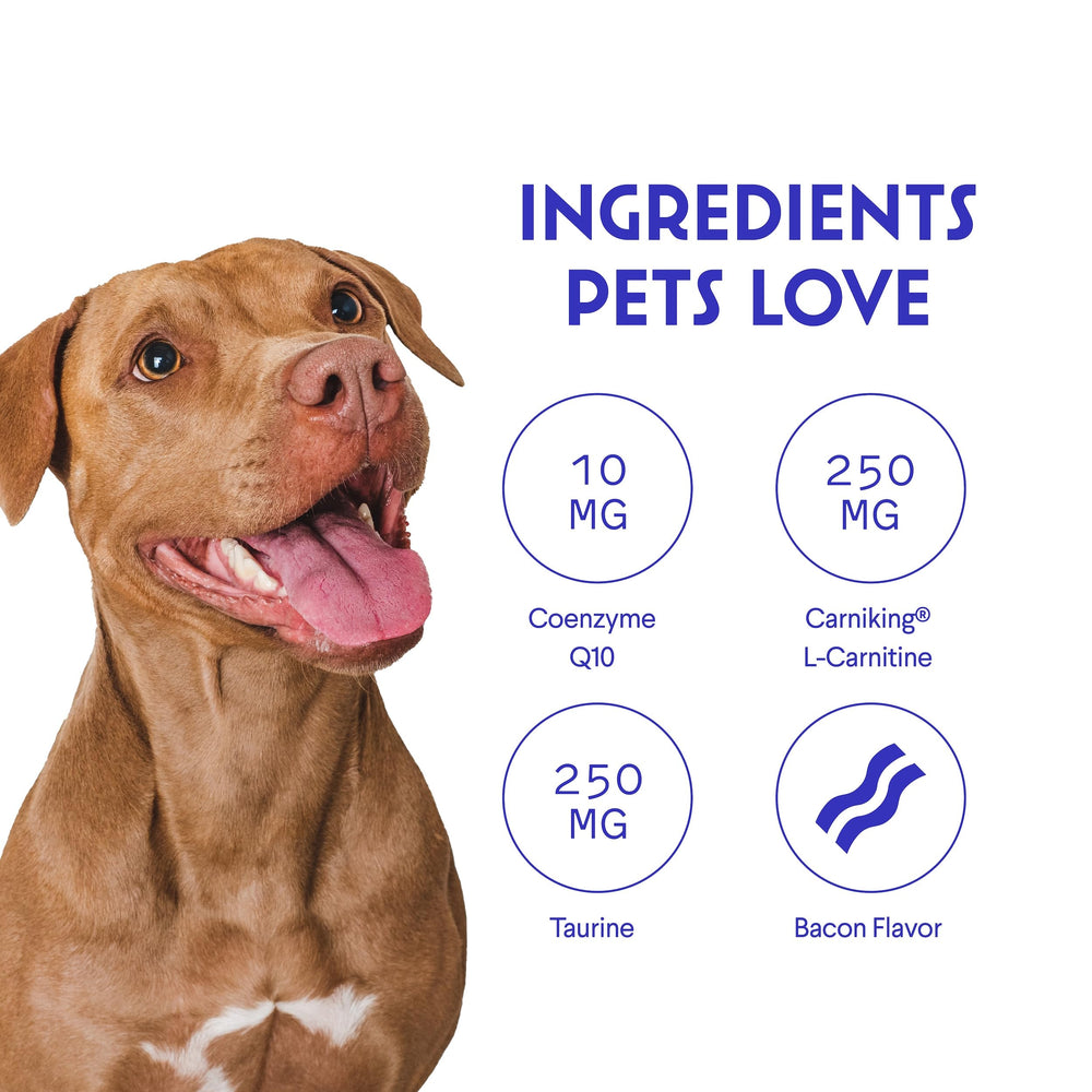 Wonder Paws Cardio Chews ingredient panel highlights Taurine and CoQ10 for cardio support
