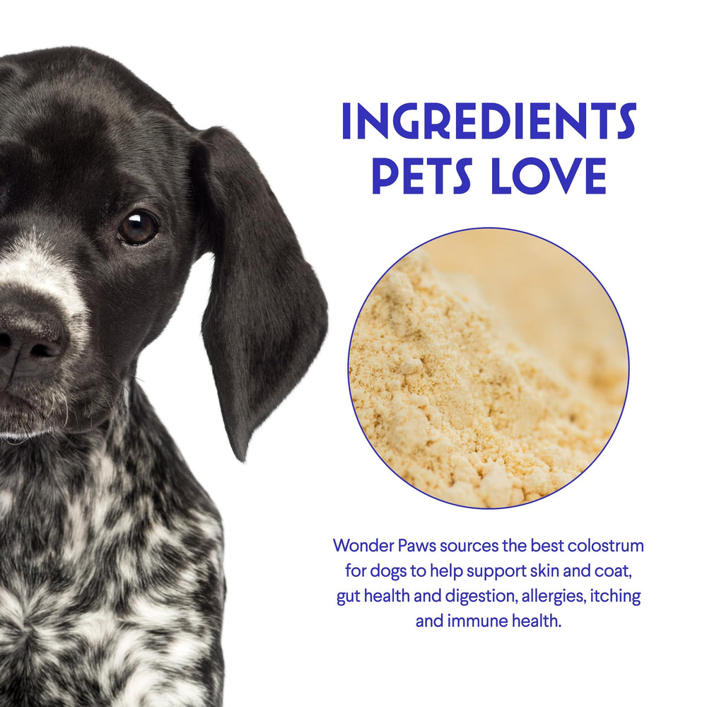 WONDER PAWS colostrum being sprinkled onto dog food for immune support