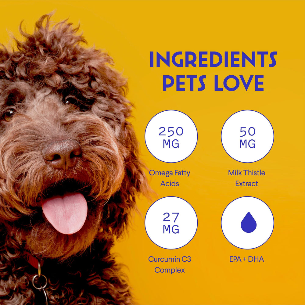 Wonder Paws Curcumin C3 Complex in premium formula