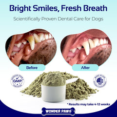 Wonder Paws Dental Powder scoop in dish demonstrates easy sprinkle-on dental care