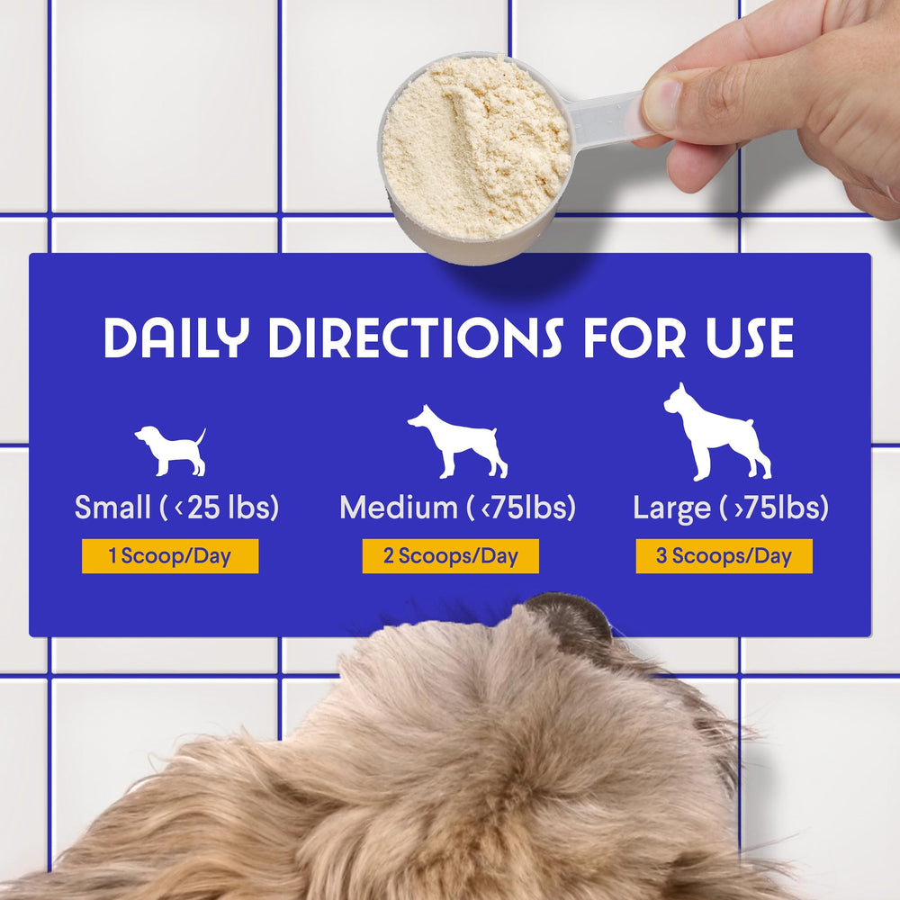 WONDER PAWS dog with healthy coat from colostrum benefits