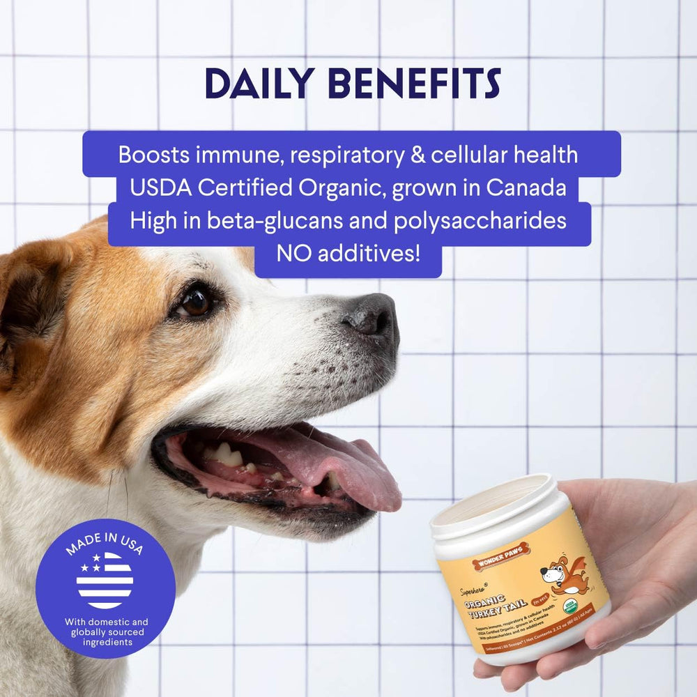 Wonder Paws turkey tail powder supports dogs' immune health and overall wellness
