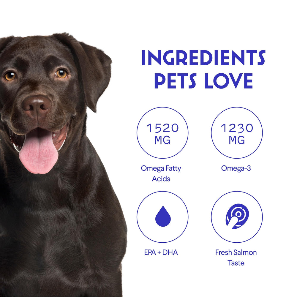 Wonder Paws joints and activity scene hints at better mobility and playful energy