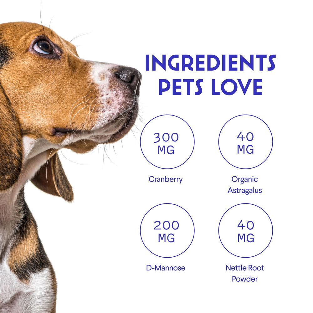 Wonder Paws dog drops with measuring dropper highlights easy daily dosing and flavor appeal.