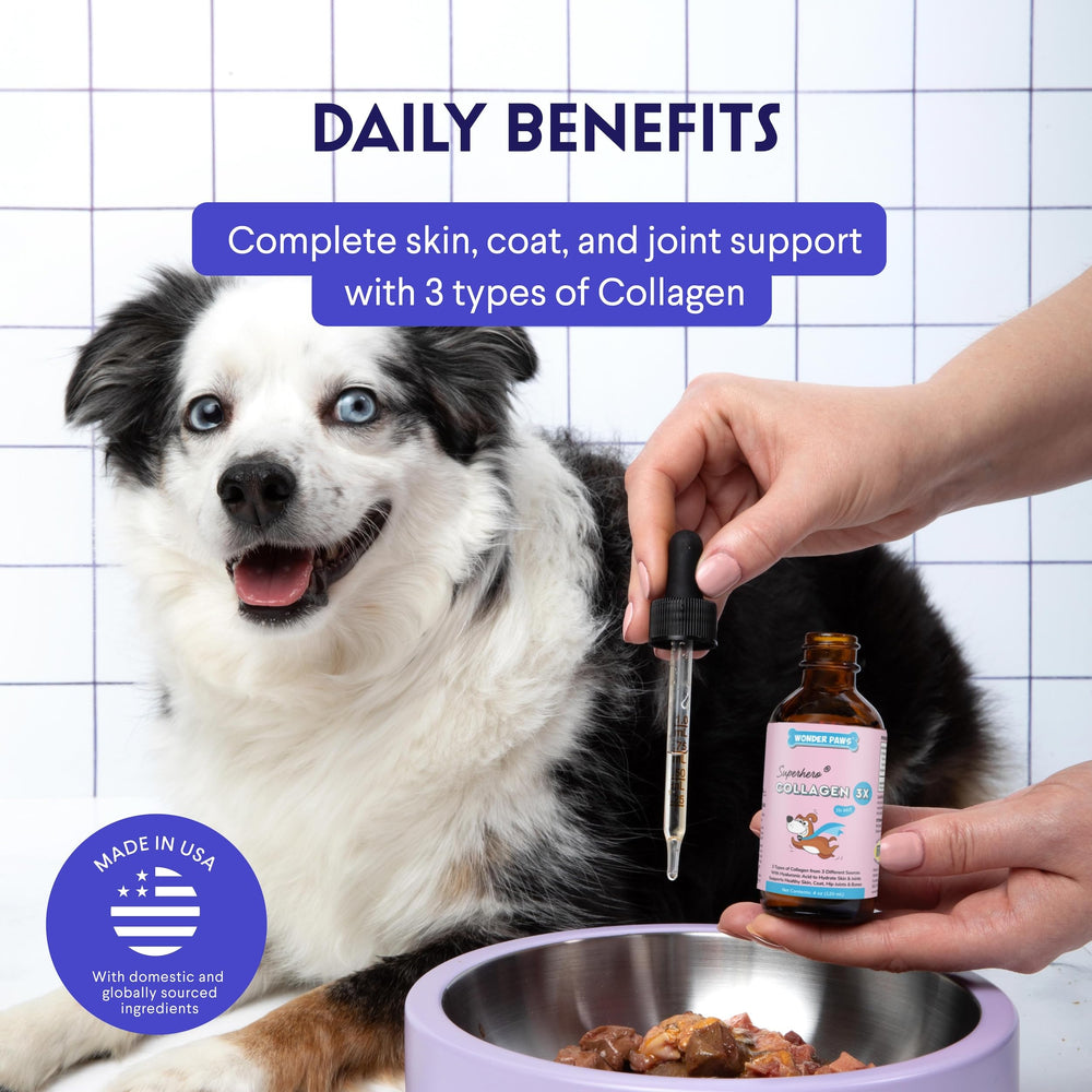 Wonder Paws dogs coat shine image suggests a glossy, healthy coat from daily collagen.