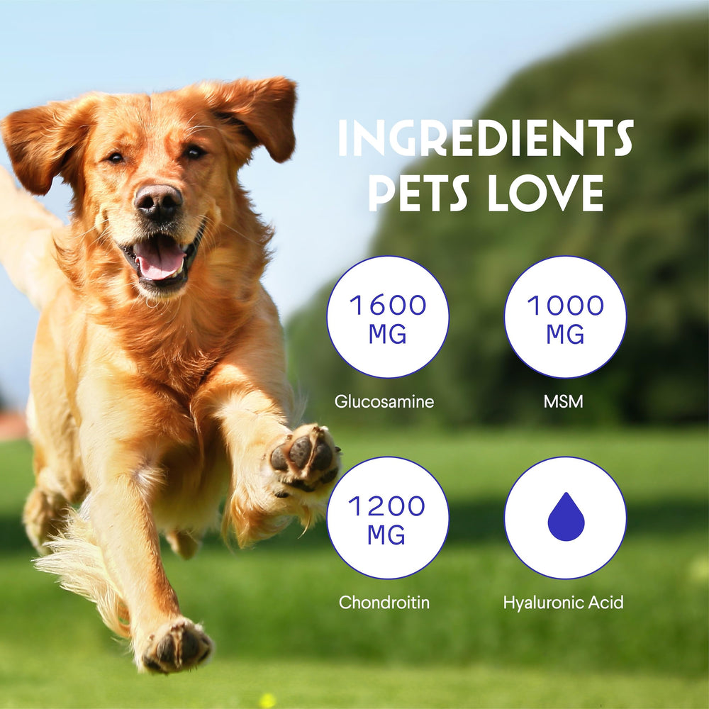 Wonder Paws dosing dropper shows convenient liquid administration for pets.