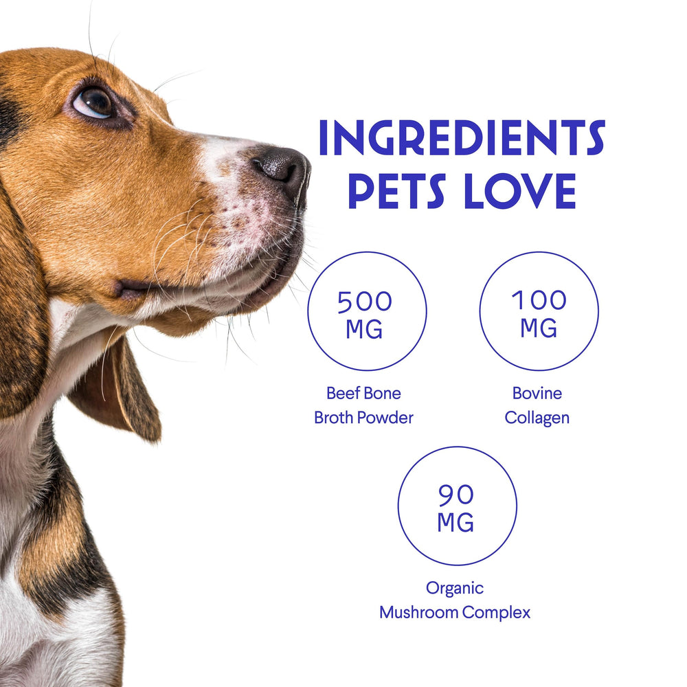 Wonder Paws bone broth topper used on dry or wet dog food