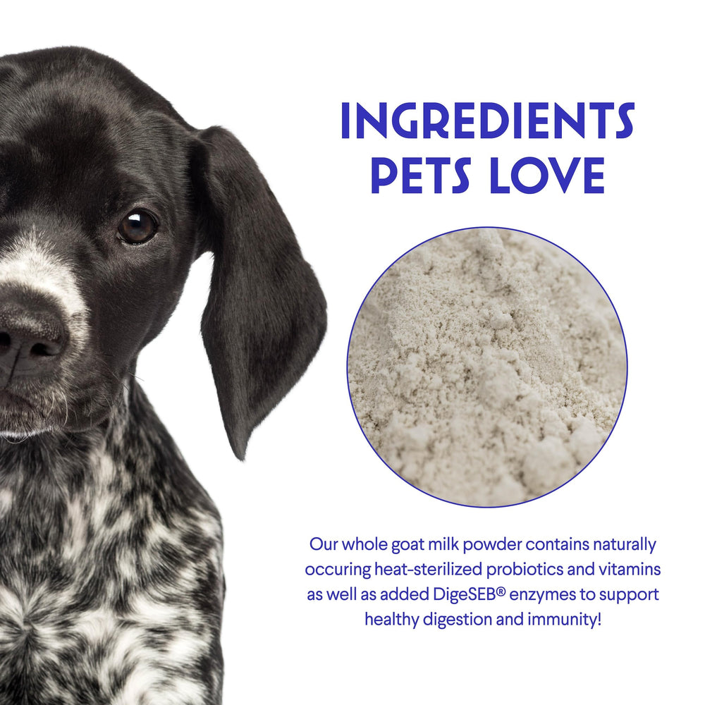 Wonder Paws goat milk powder for adult dogs supporting daily wellness