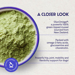 Wonder Paws green-lipped mussels powder sprinkled on dog meals for easy daily use