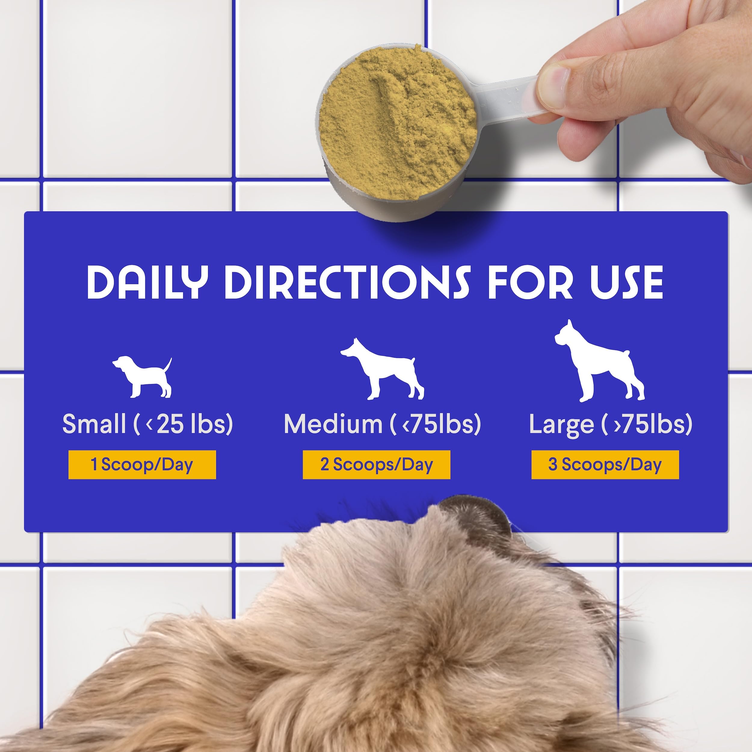 Wonder Paws Mycowelle K9 mushrooms support immune health