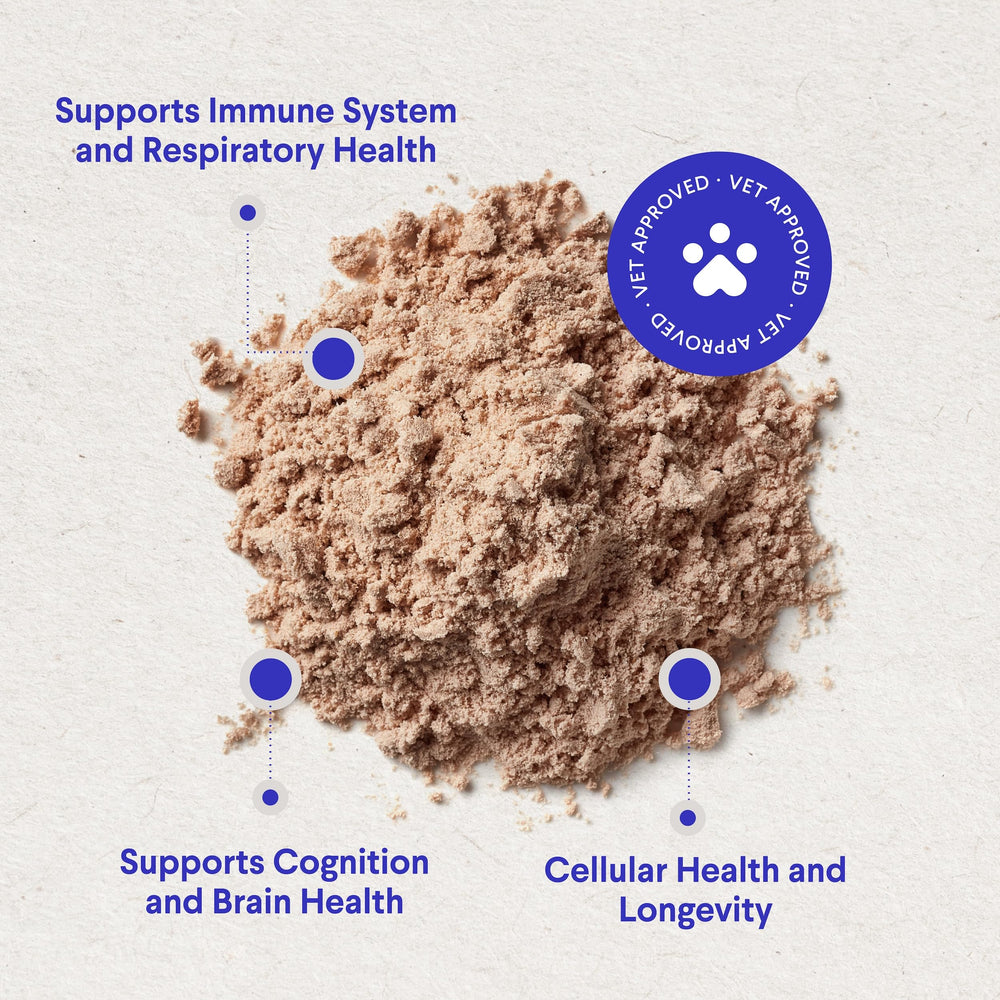 Wonder Paws dosing scoop reveals simple guidance for different dog weights