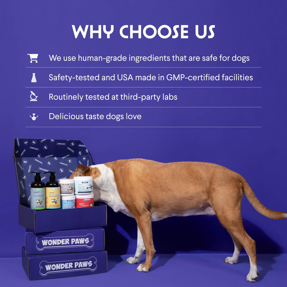 Wonder Paws ingredients include glucosamine, chondroitin, MSM, and hyaluronic acid.