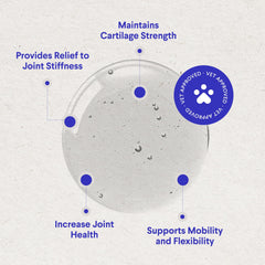 Wonder Paws liquid hip and joint topper applied to dog food for easy administration.