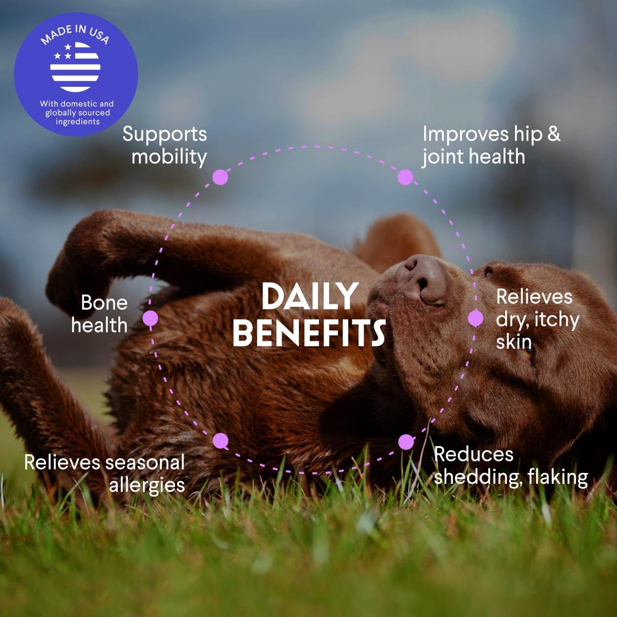 Wonder Paws NASC-certified oil signals quality and safety for dogs.