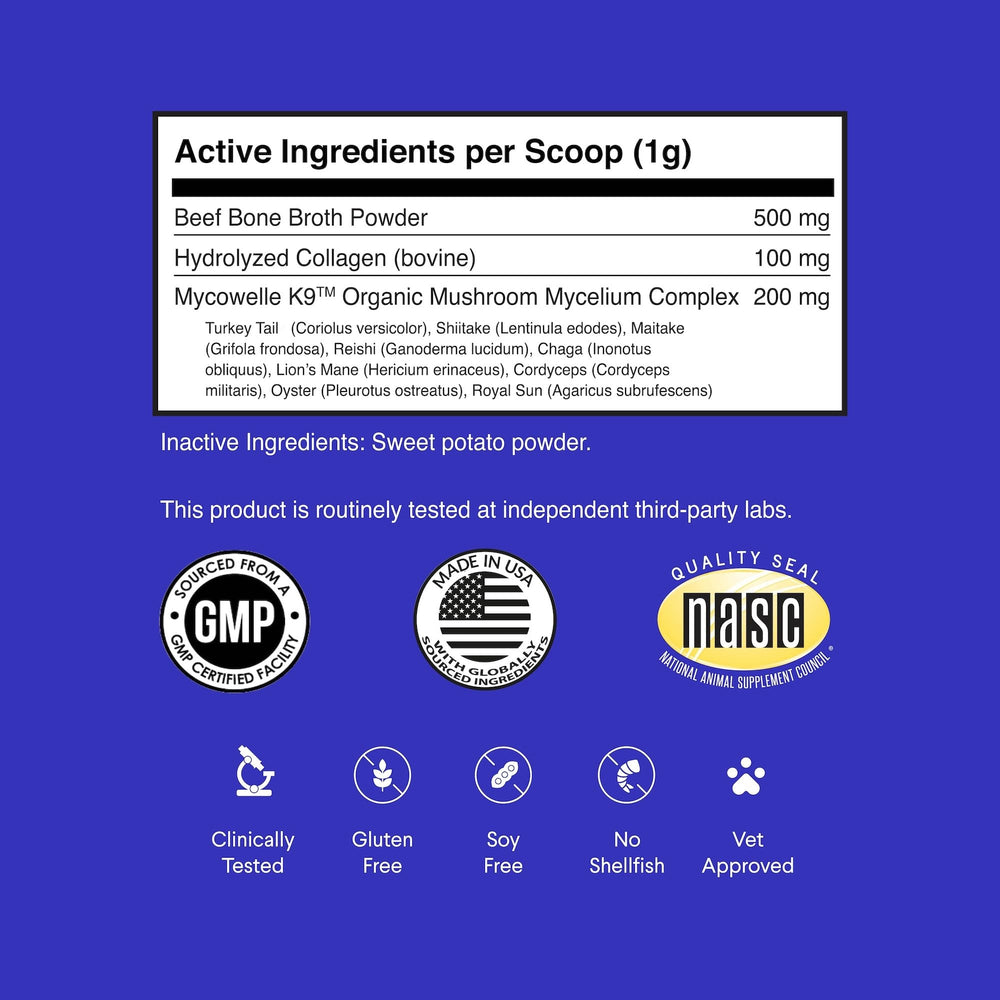 Wonder Paws organic mushrooms blend added to a bowl for immune support