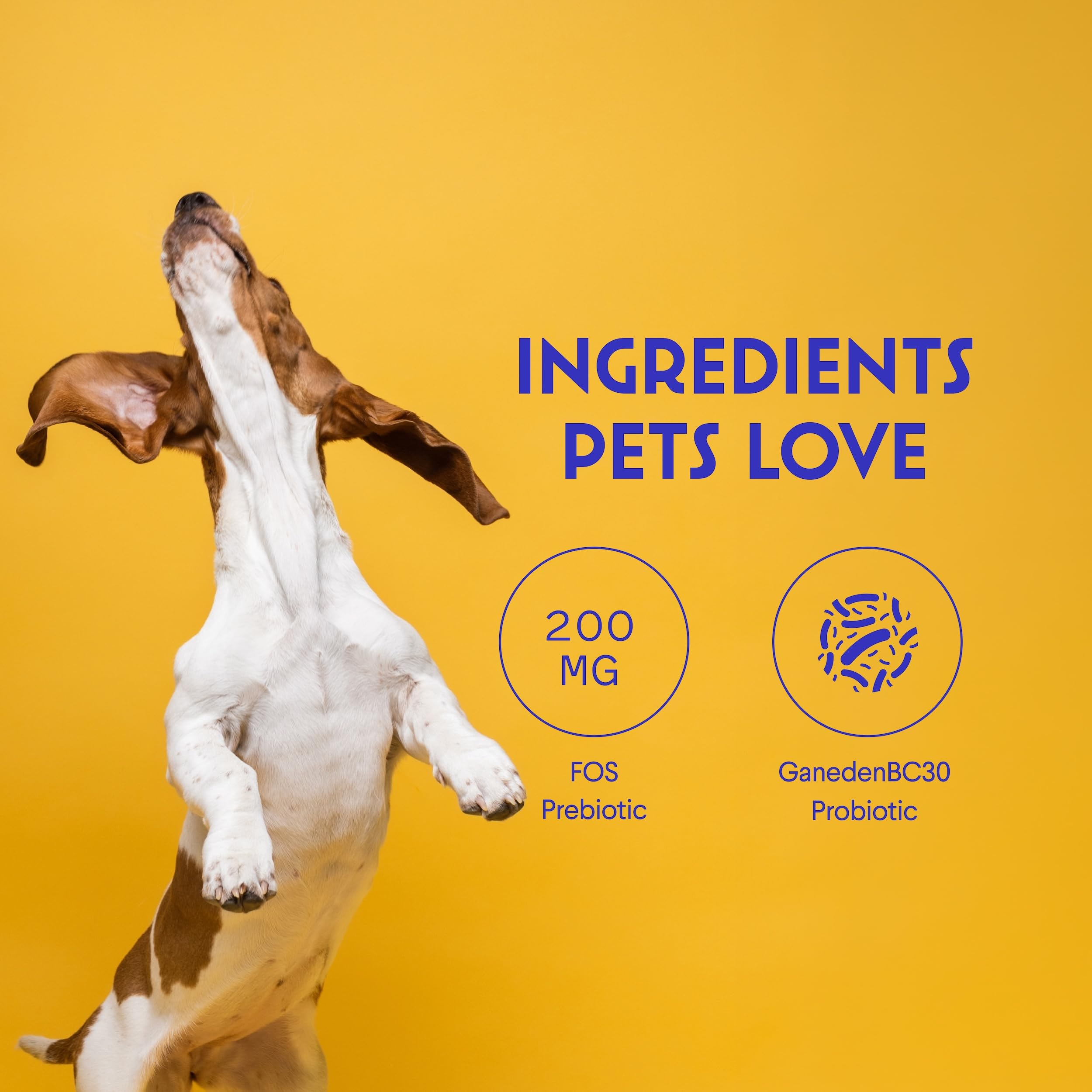 Wonder Paws Probiotics immune-support messaging on packaging near bowl.