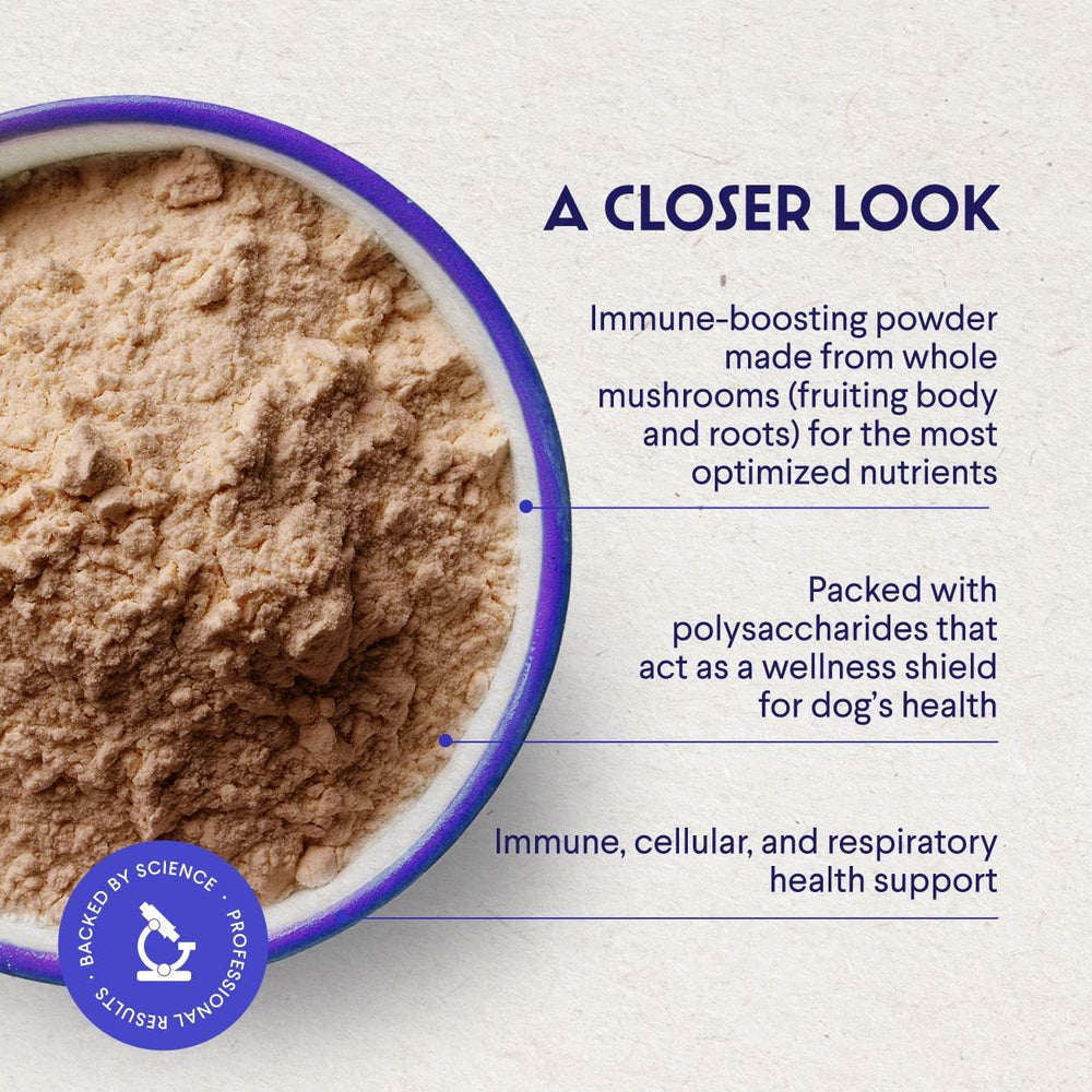 Wonder Paws turkey tail powder sprinkled on kibble for a convenient daily boost