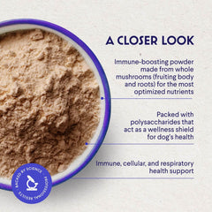 Wonder Paws turkey tail powder sprinkled on kibble for a convenient daily boost