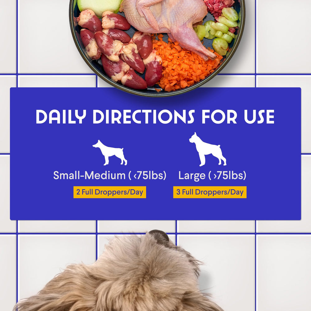 Wonder Paws USA-made certification badge visible in image reinforces quality and safety.