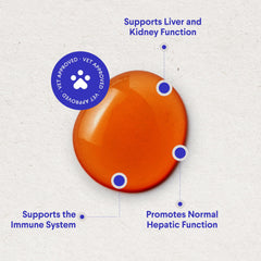 Wonder Paws Wild Alaskan Salmon Oil with EPA and DHA for canine health