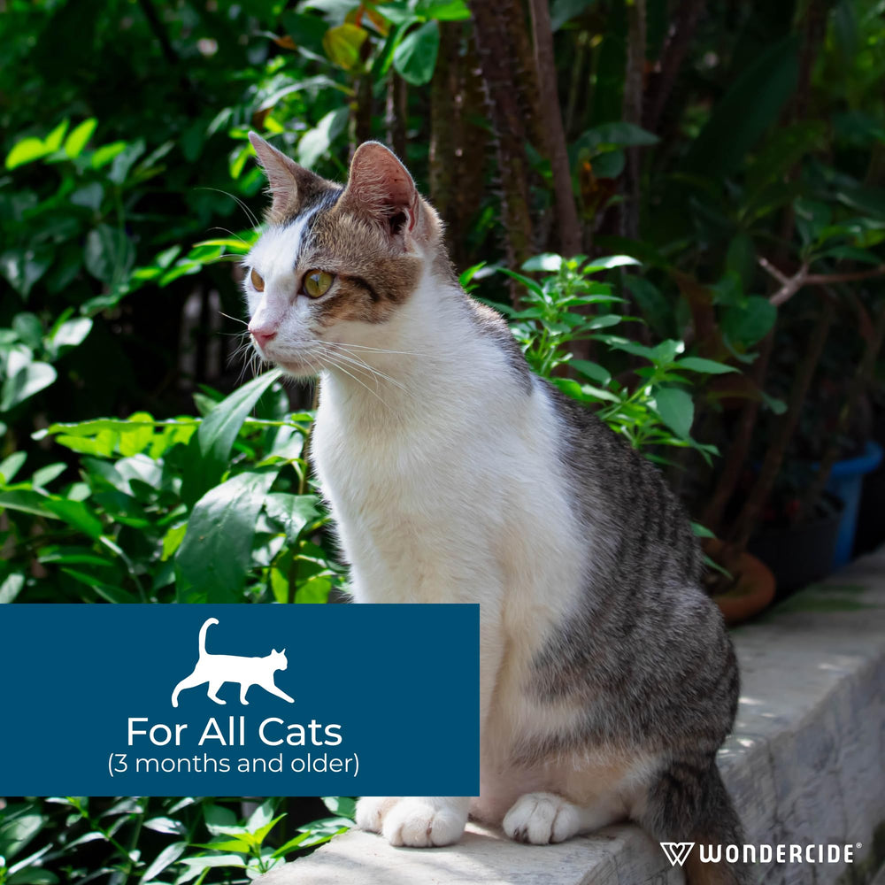 Wondercide peppermint-scent cat spot-on highlights a pleasant, pet-friendly scent during use.