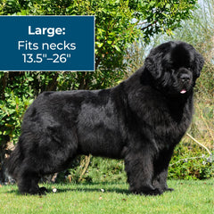 Wondercide dog collar cut to size for a precise, comfortable fit.