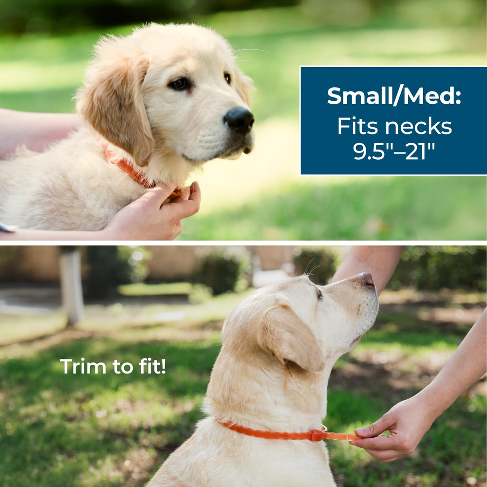 Wondercide dog collar scent peppermint conveys fresh, natural aroma without artificial fragrances.