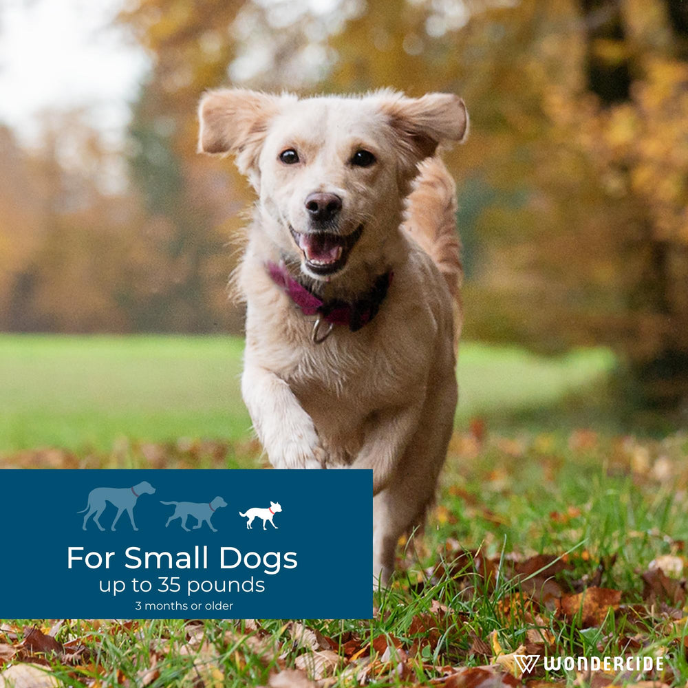 Wondercide dog spot-on application on dog demonstrates easy, safe usage