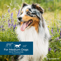 Wondercide dog spot-on natural oils cedarwood peppermint deliver a fresh scent while repelling pests