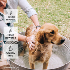 Wondercide shampoo bottle beside cat and dog, emphasizing safe use for pets over four months