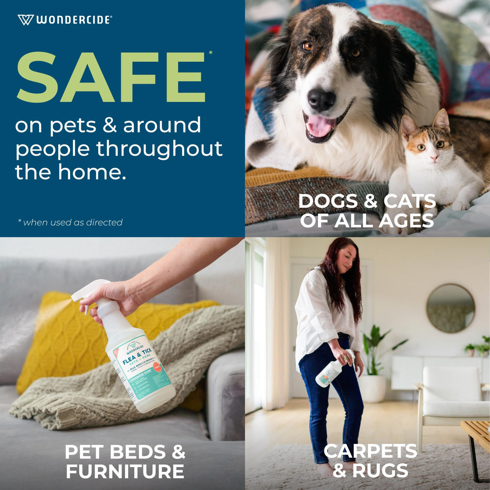 Wondercide bottle misting carpets and furniture to deter fleas and ticks.
