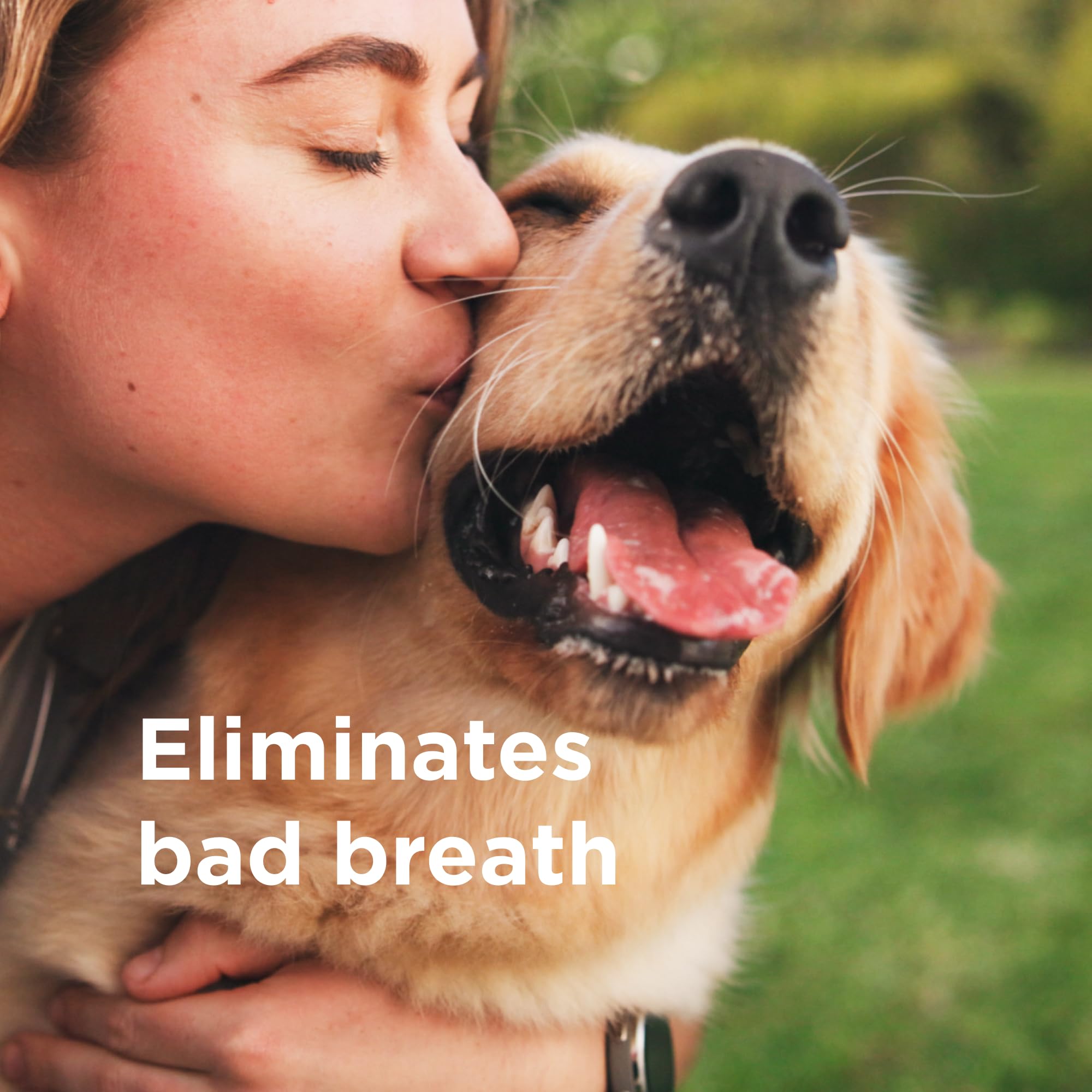 Wondercide Rescue spray for cats, gentle care without alcohol