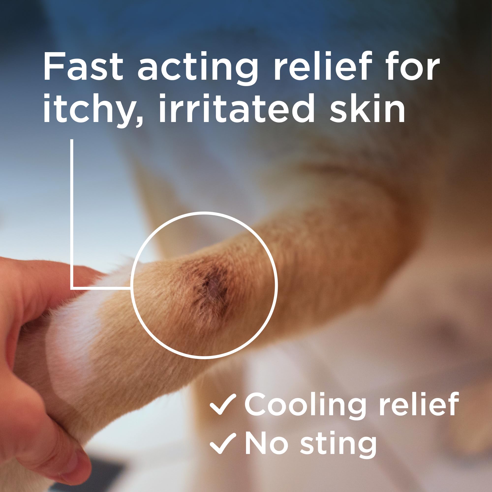 Wondercide Rescue Skin Spray applied to paw for cooling itch relief on-the-go.