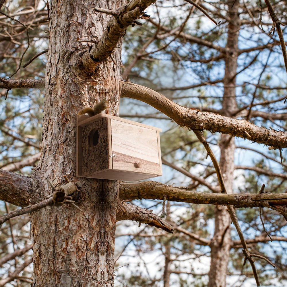 Wonderjune squirrel nesting box open-front design eases cleaning