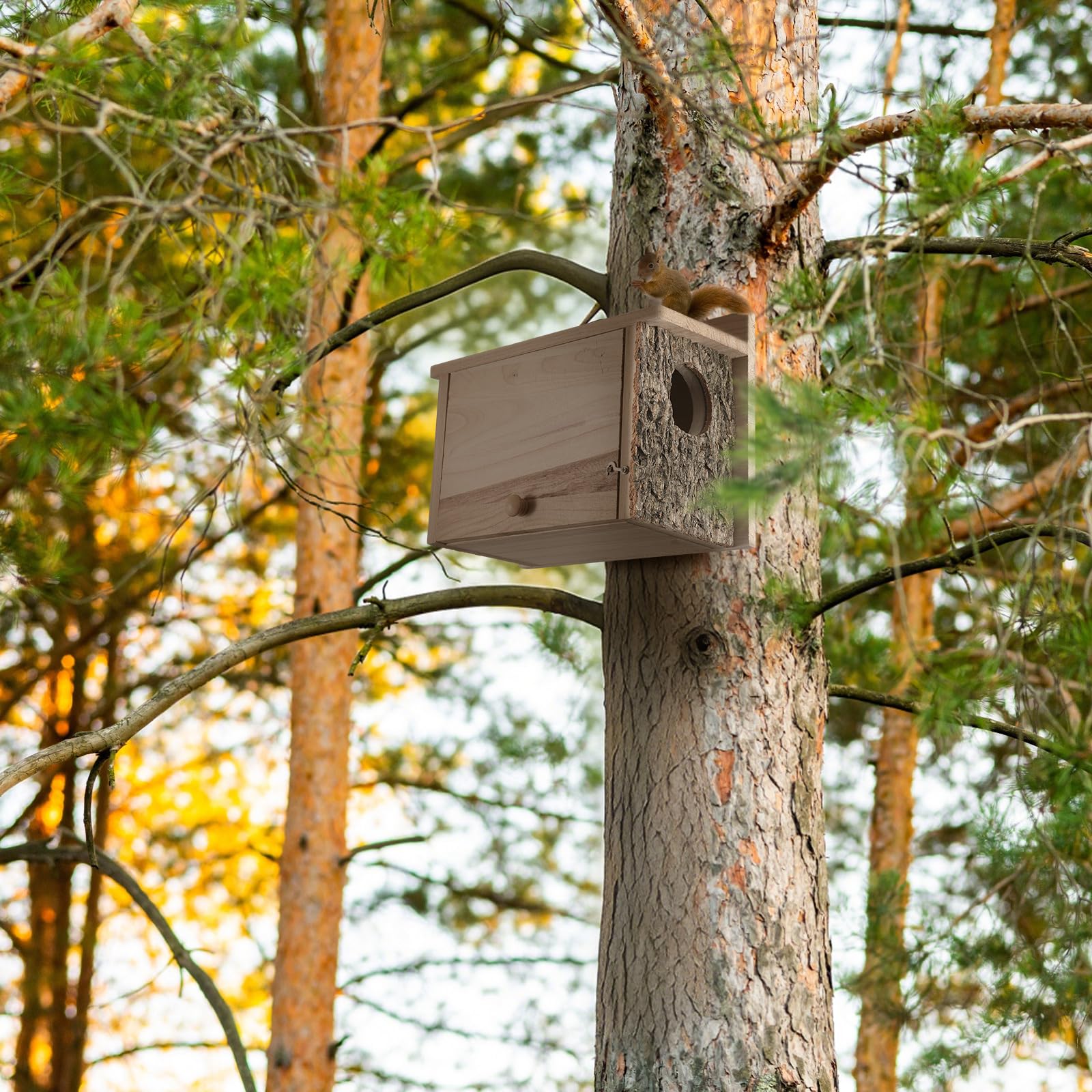 Wonderjune squirrel nesting box outdoor yard placement attracts wildlife