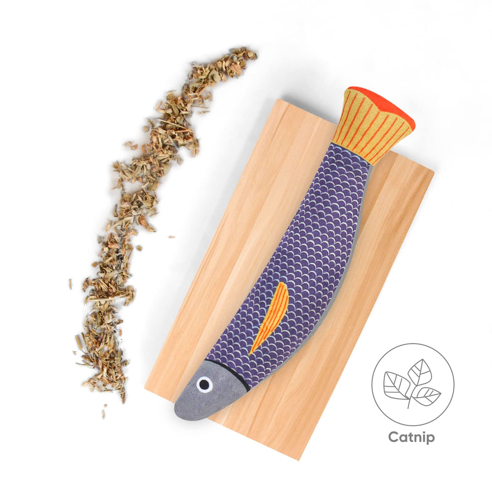 Wonowpa toy shows natural catnip inside attracting playful instinct