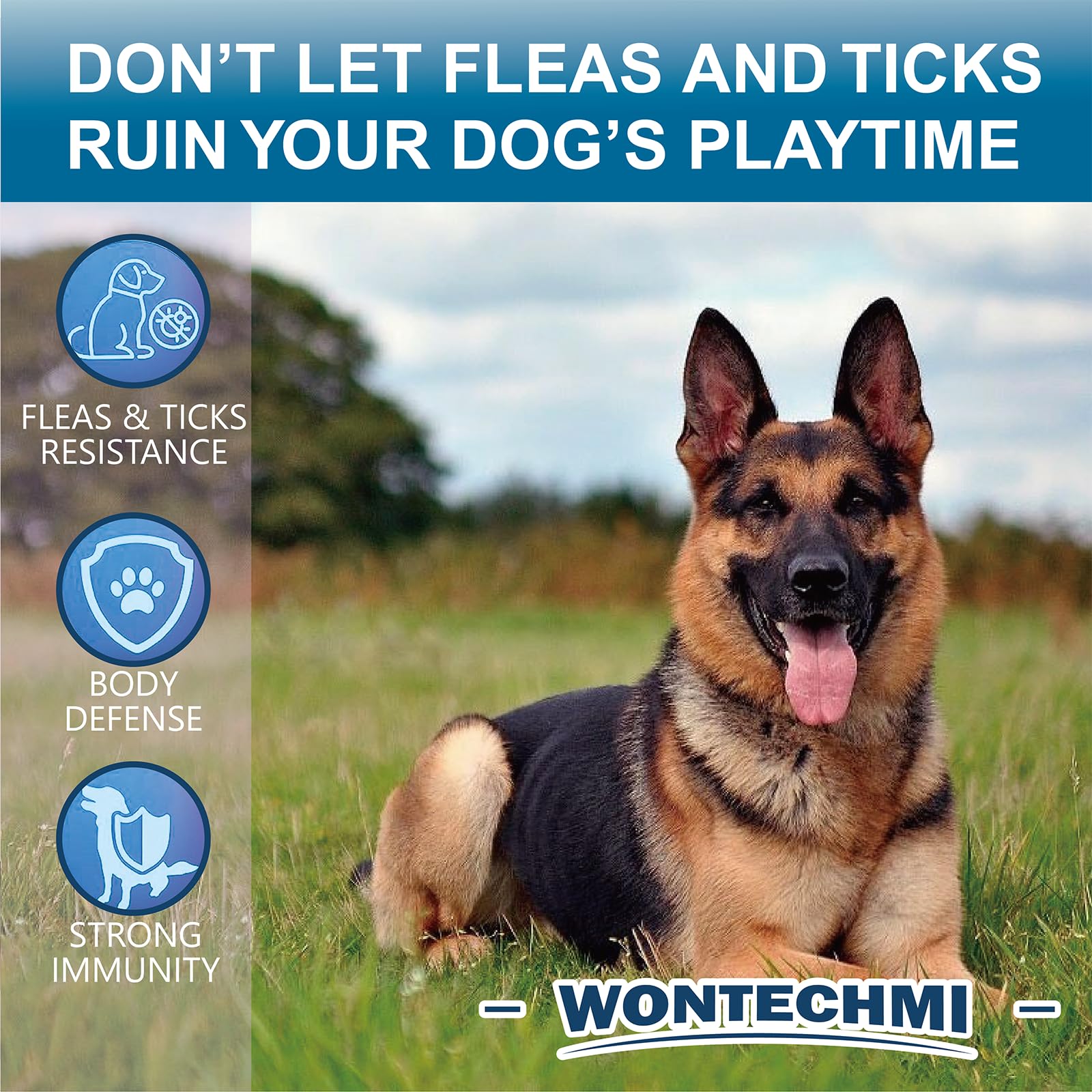 WONTECHMI chewables with cheerful dog—mess-free alternative to collars and sprays.