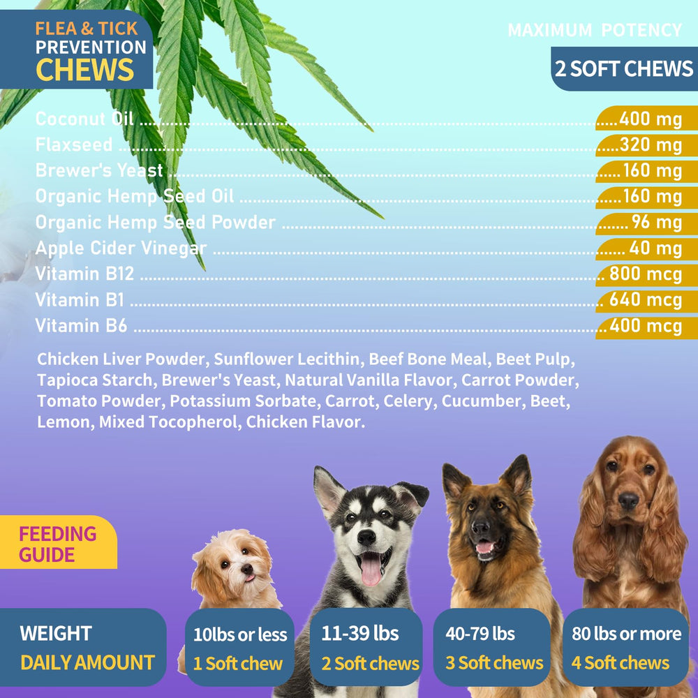 WONTECHMI coat-health benefits image—essential vitamins for skin and shine.