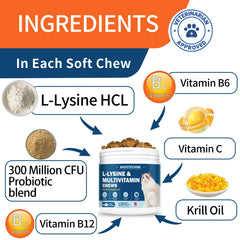 WONTECHMI L-Lysine cat chews tuna — probiotic-rich treat for nasal comfort and immune support.