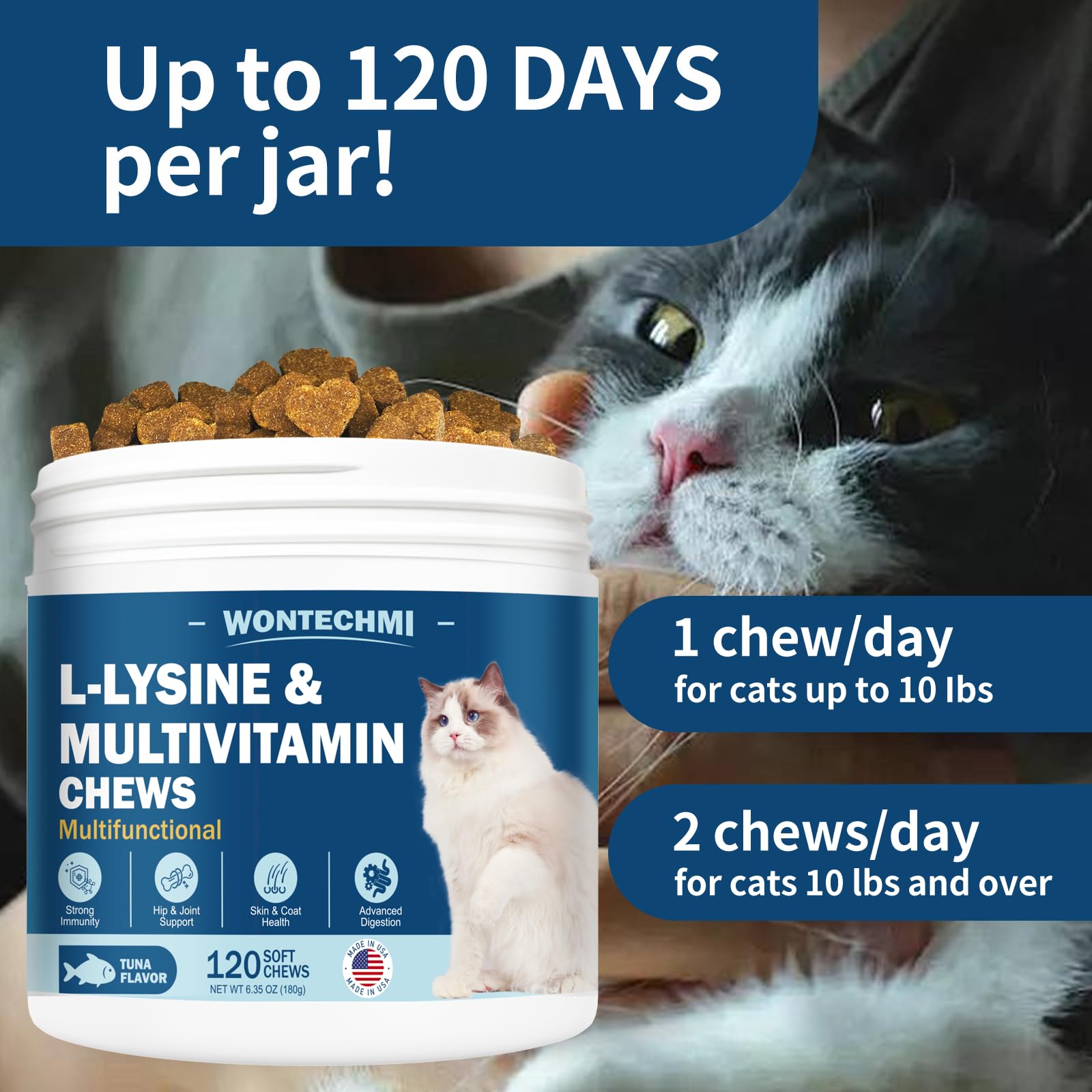 WONTECHMI L-Lysine cat eye-health icon — visual cue of potential eye function support.