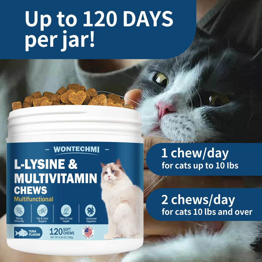 WONTECHMI L-Lysine cat eye-health icon — visual cue of potential eye function support.