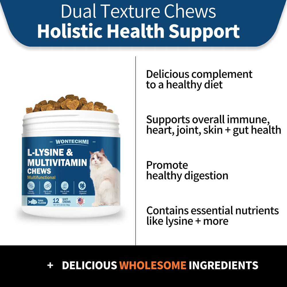 WONTECHMI L-Lysine cat serving on hand — convenient daily treat for cats of all ages.