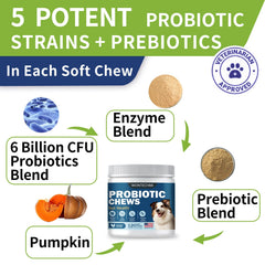 WONTECHMI Probiotics bottle shot highlights convenient daily supplement for dogs supporting digestion.