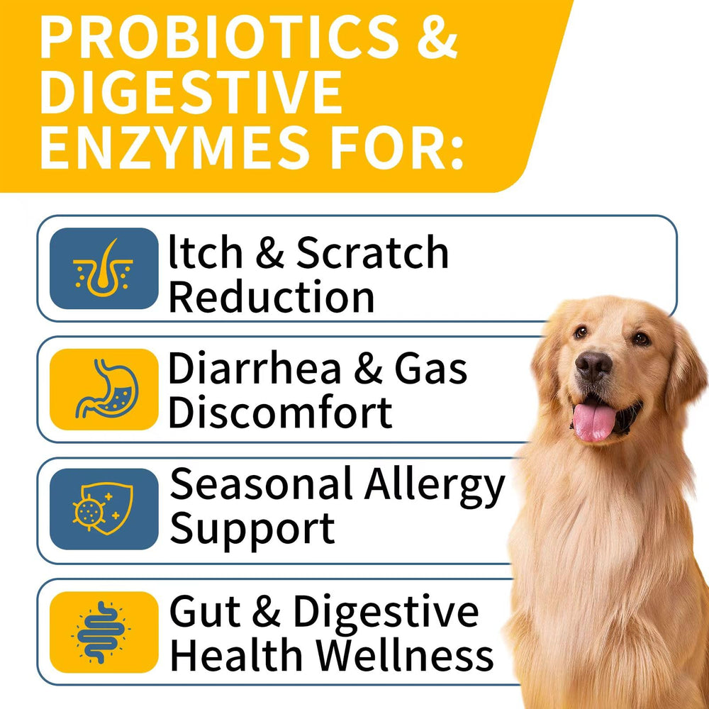 WONTECHMI Probiotics chicken-flavor chews promote easy feeding and gut balance.