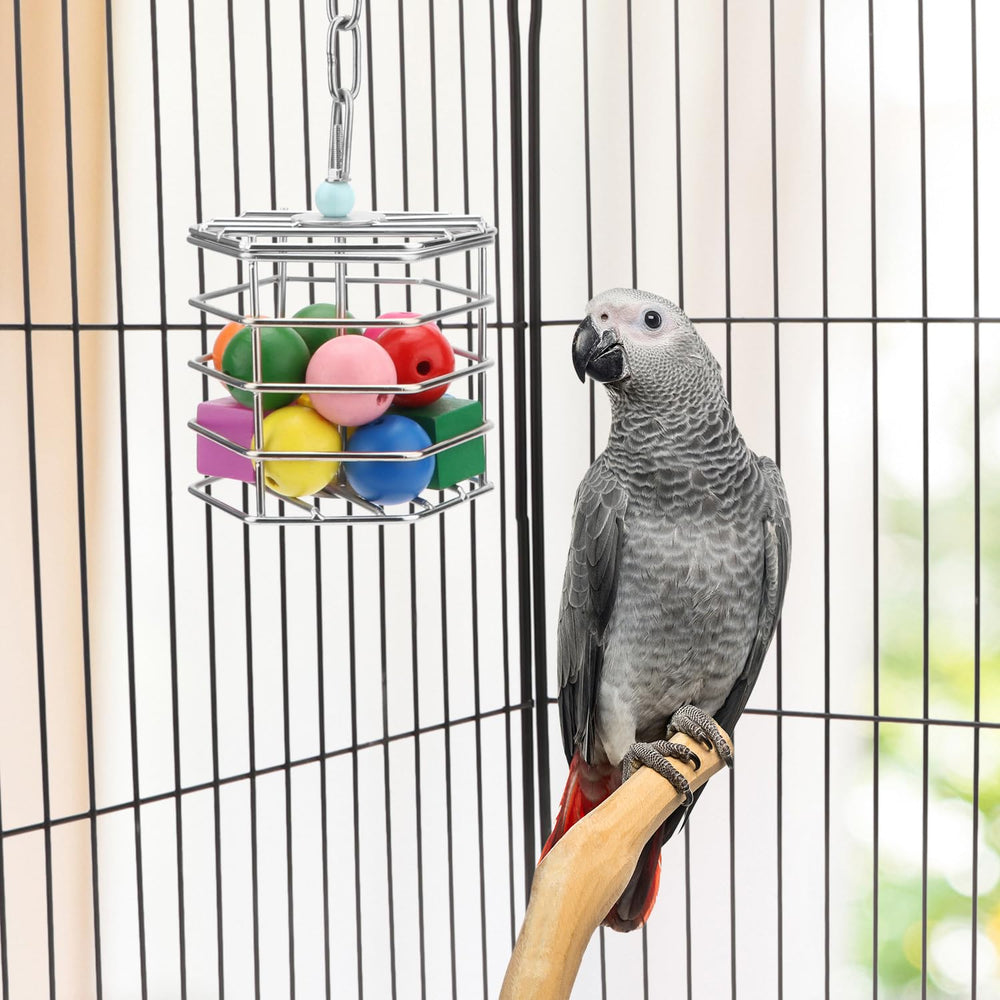 Wontee bird foraging feeder hollow design—easy to retrieve tasty treats.