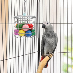 Wontee bird foraging feeder hollow design—easy to retrieve tasty treats.
