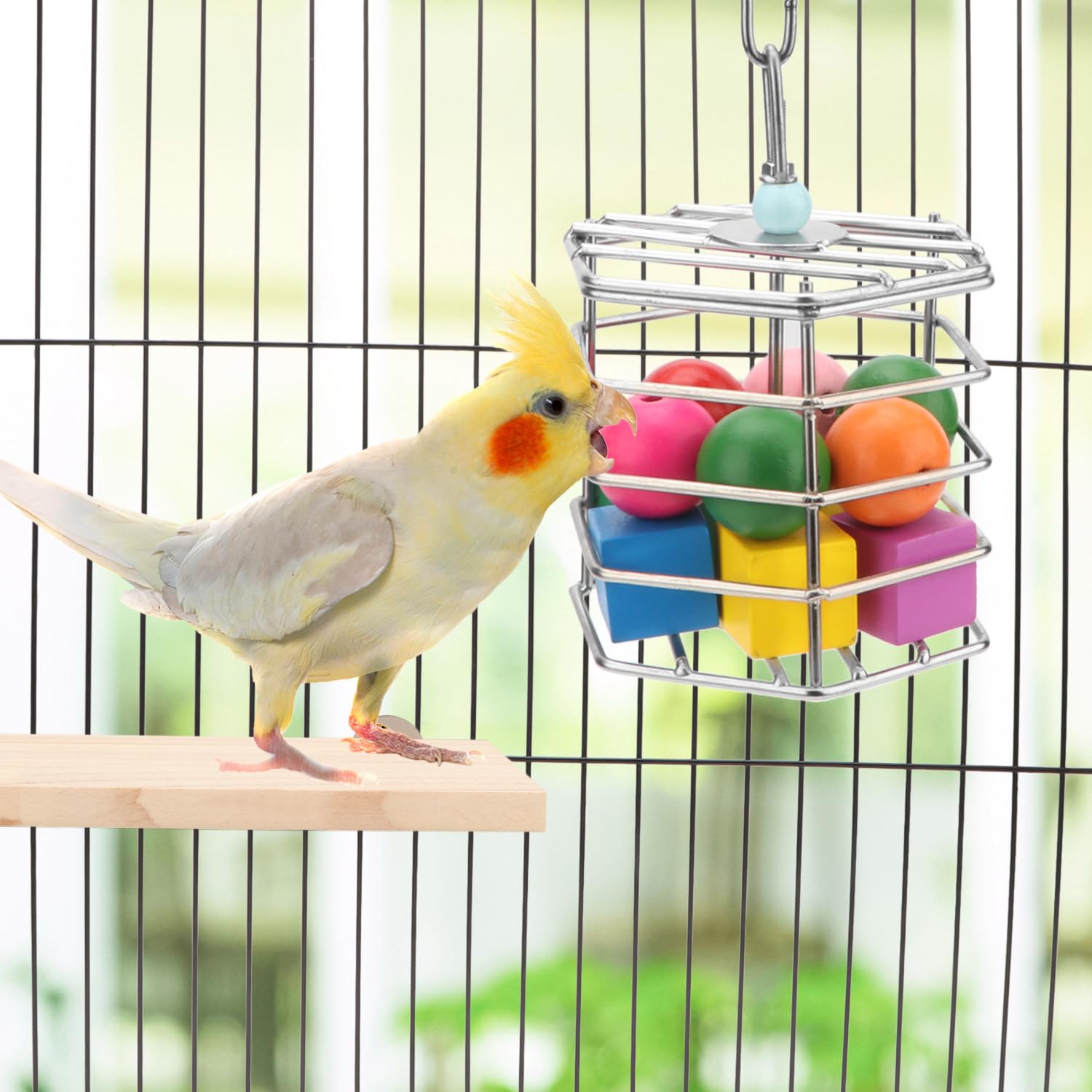 Wontee bird foraging feeder with nuts, fruits, vegetables—stimulates natural foraging.