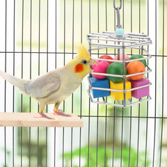 Wontee bird foraging feeder with nuts, fruits, vegetables—stimulates natural foraging.