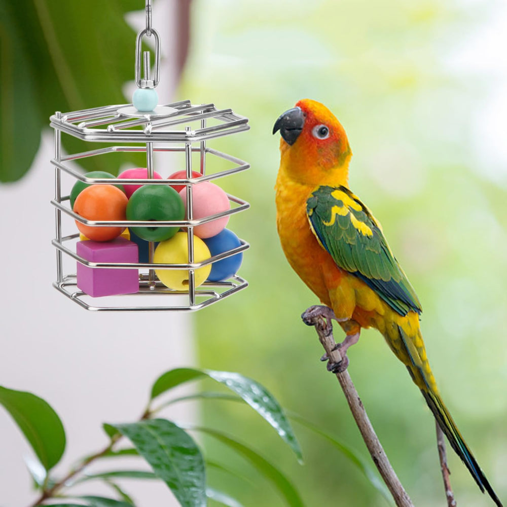 Wontee bird foraging feeder size dimensions—compact 4.09 x 4.09 x 3.85 inches.